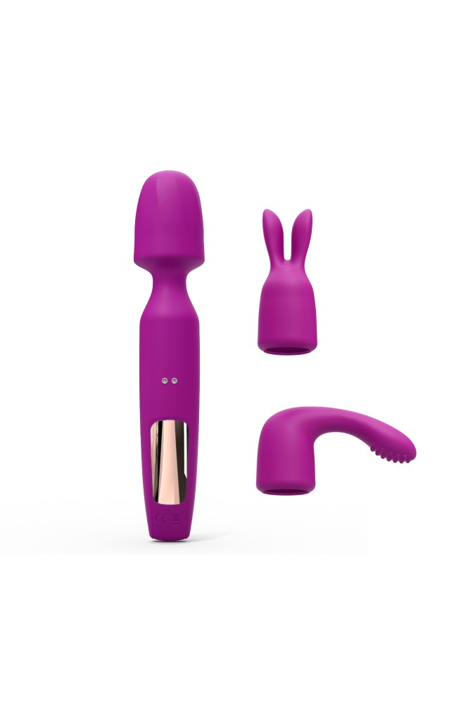 1969 - LOVE TO LOVE - R-EVOLUTION - WAND ET VIBROMASSEUR