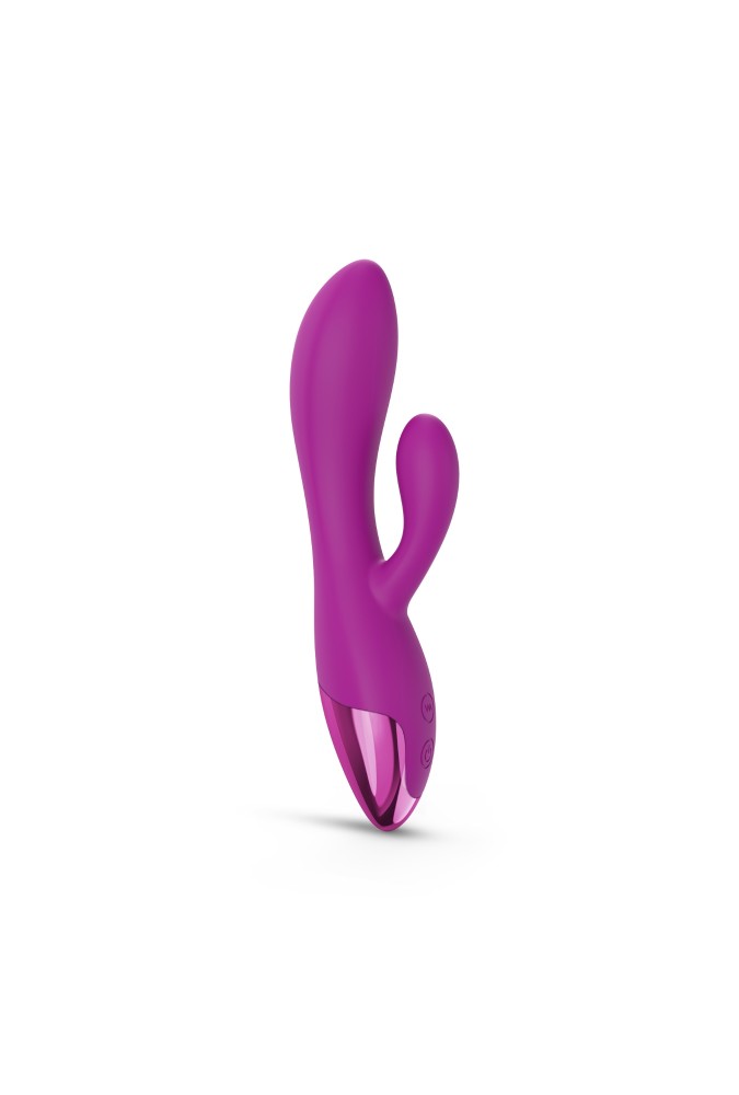 Funky Bunny - Rabbit - Rose